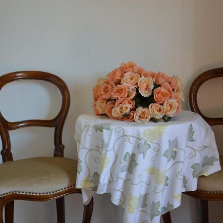 Holiday Home Atena Nova Vas  외부 사진